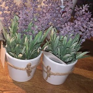 Home decor Plastic plants